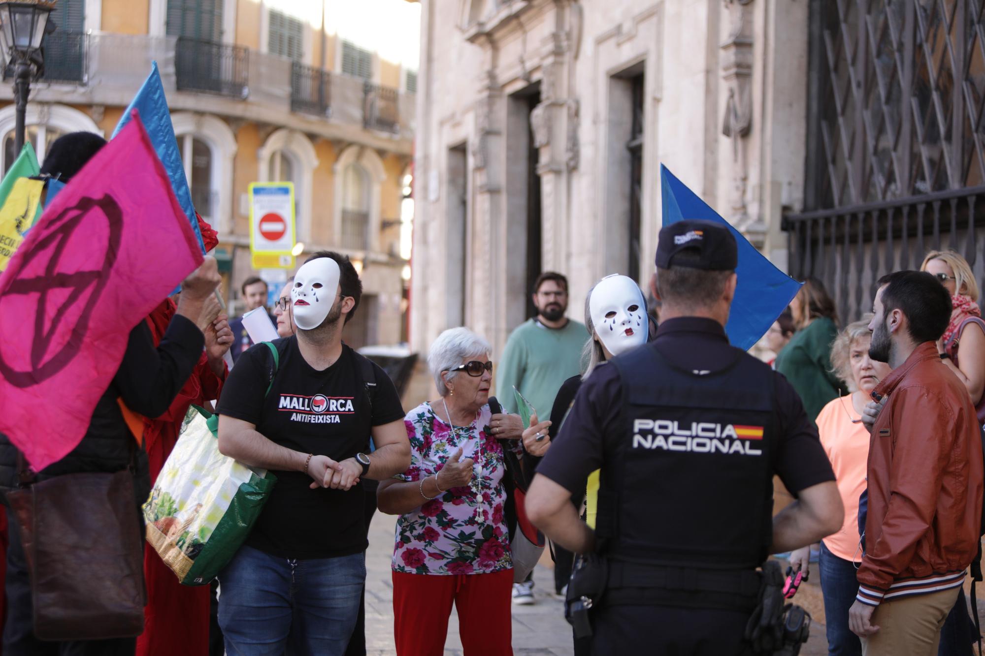 Una veintena de personas se manifiestan en Palma por los 16 científicos detenidos en Alemania
