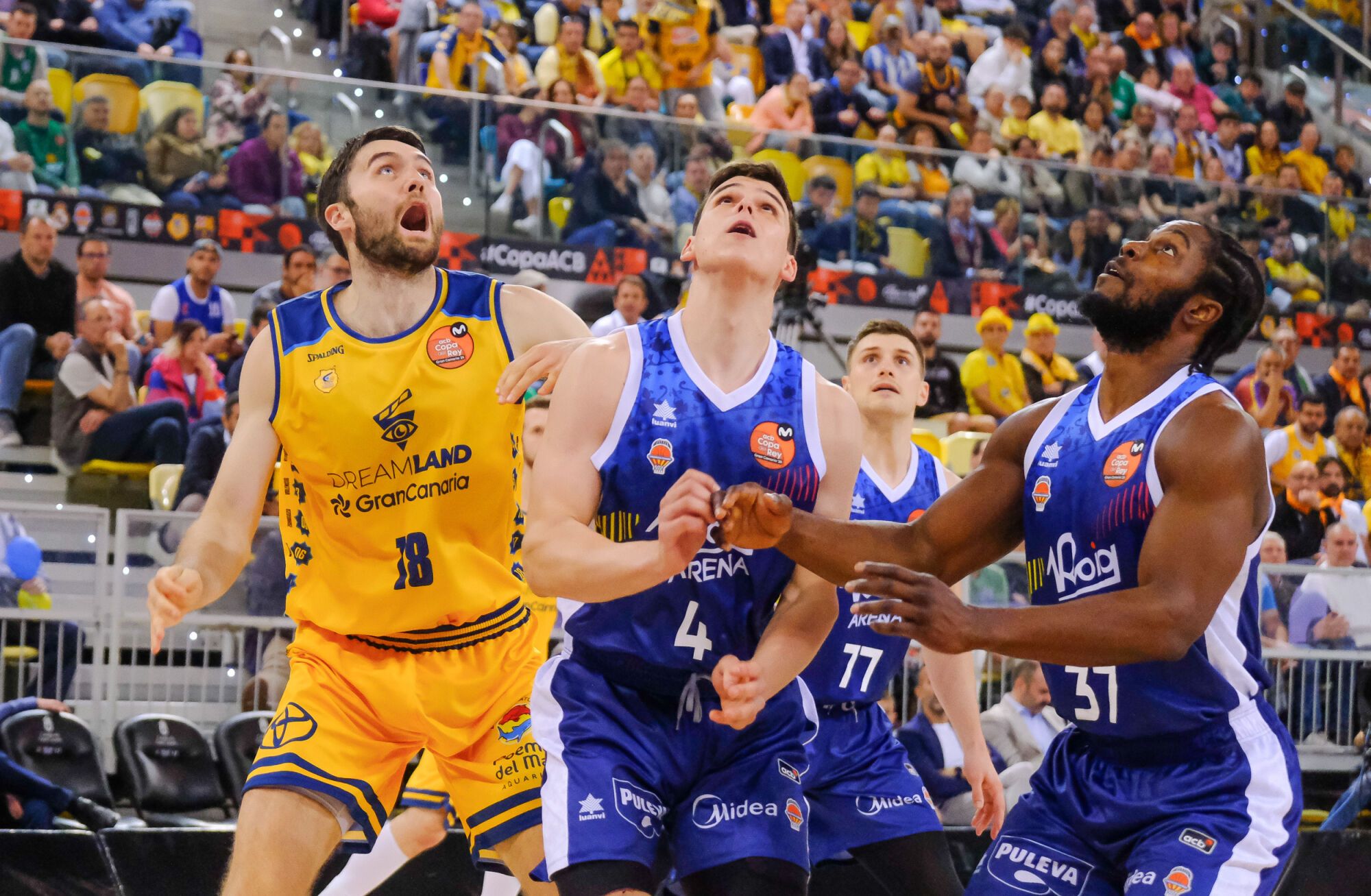 Copa del Rey de baloncesto: Dreamland Gran Canaria - Valencia Basket
