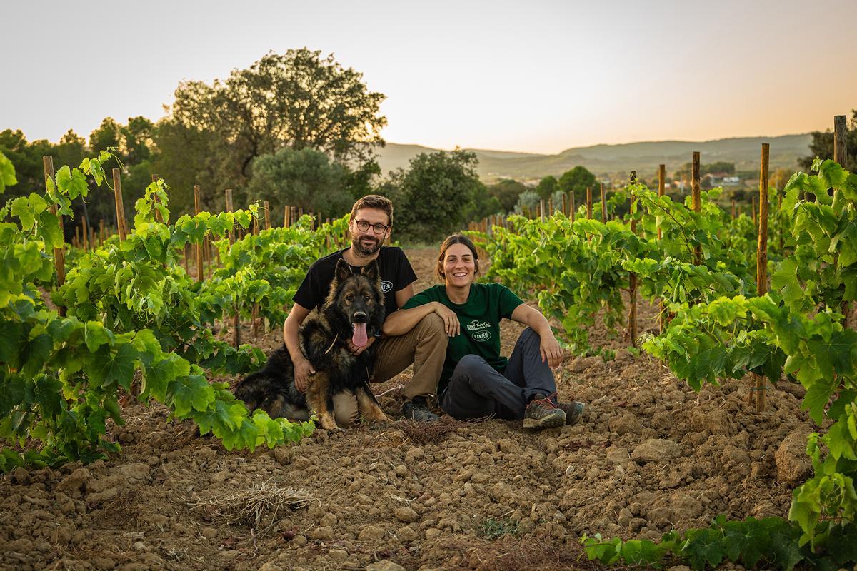 Ca la Balbina (Macabeu): Primera vinya plantada (2024) sense químics des de l'origen.