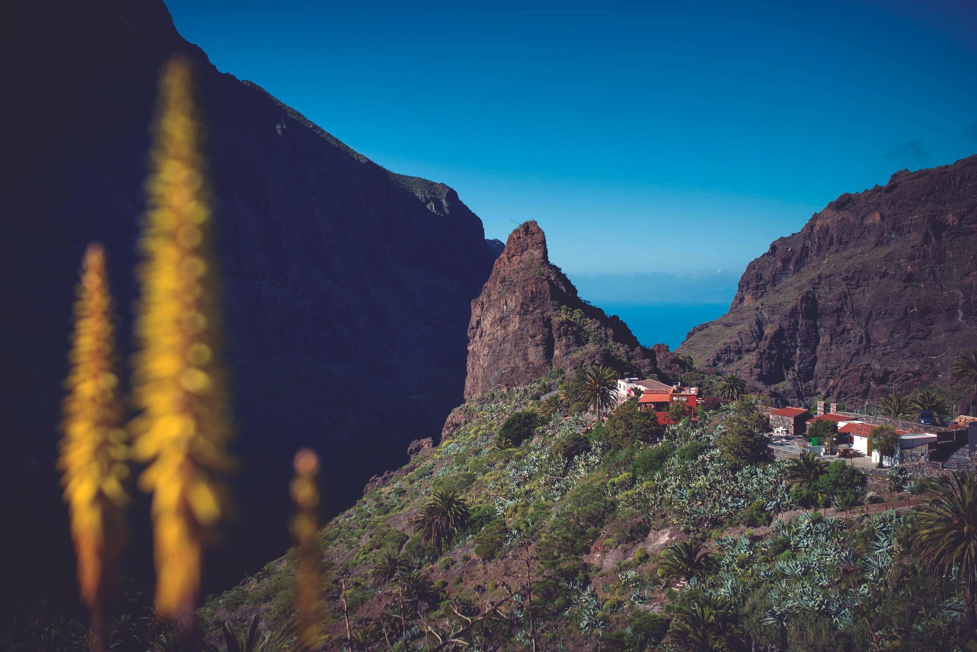 Un paseo por Masca tras la ecotasa