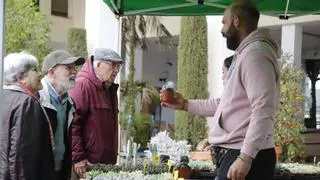 La Feria de Plantas de Colección echa raíces en el Jardín Botánico de Córdoba con una nueva edición