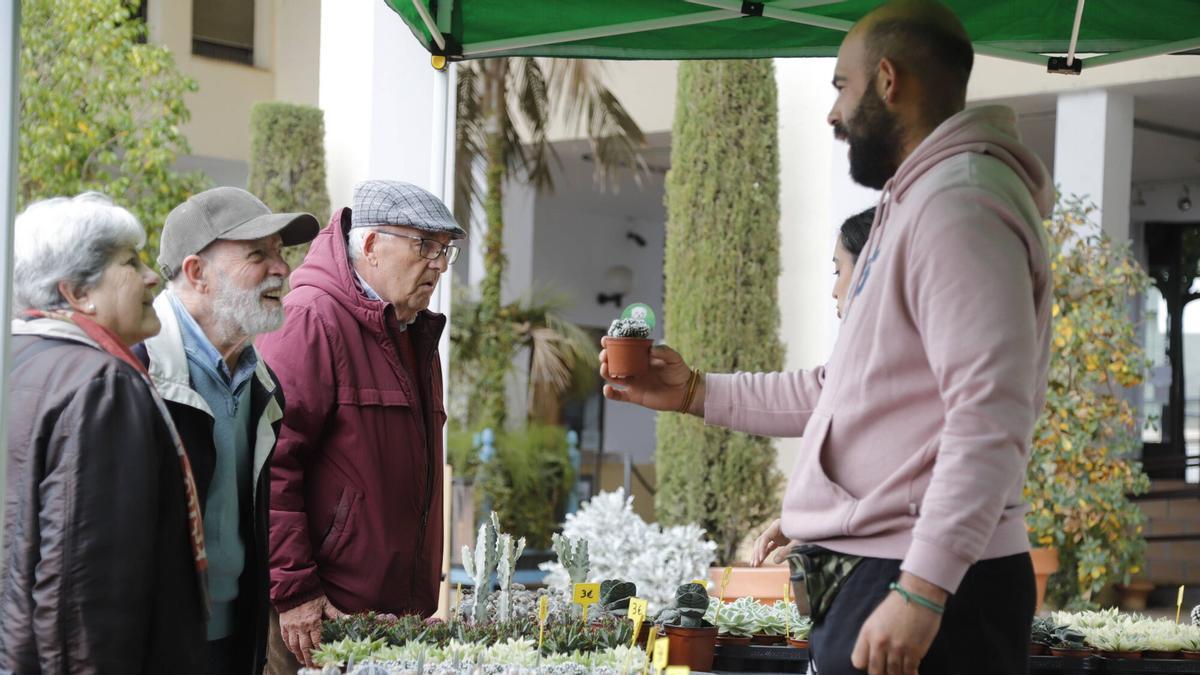 El mercado de las flores de colección de Córdoba, en imágenes