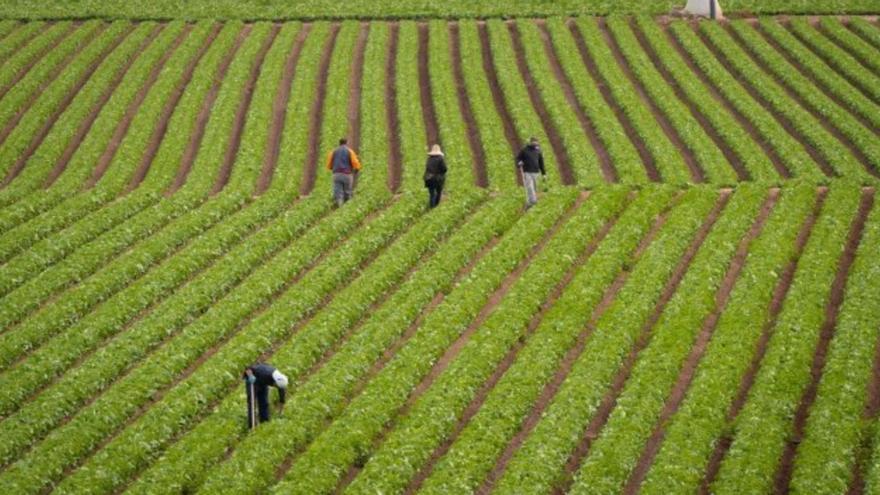 El campo murciano inicia movilizaciones contra la &quot;especulación&quot; de Repsol