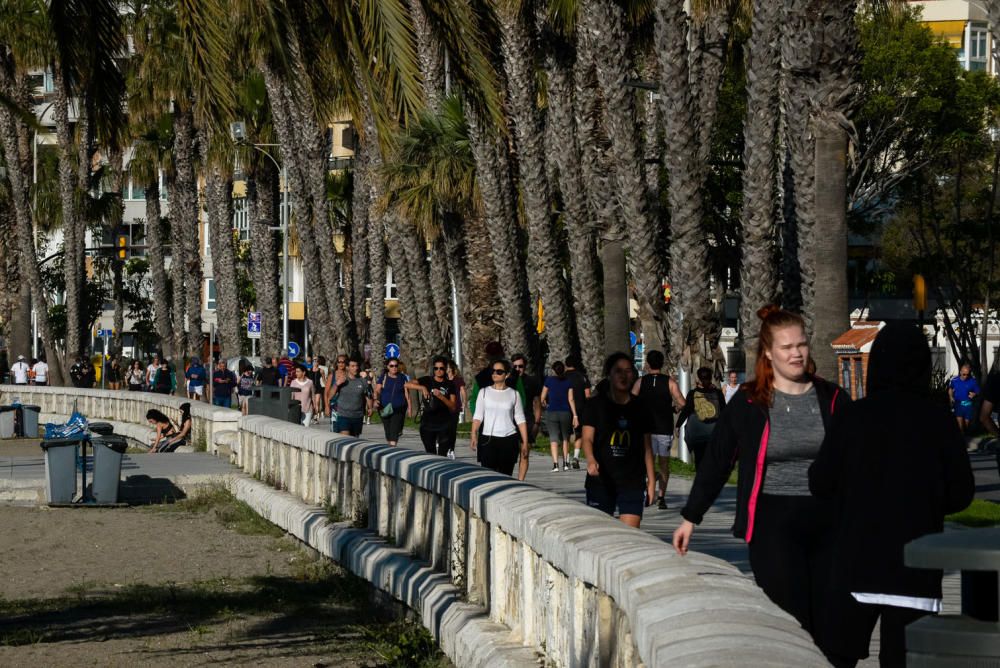 La Malagueta, este sábado a primera hora