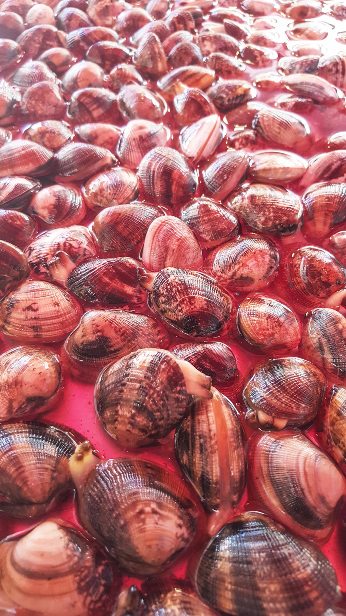 Las almejas rojas son más carnosas y sabrosas.