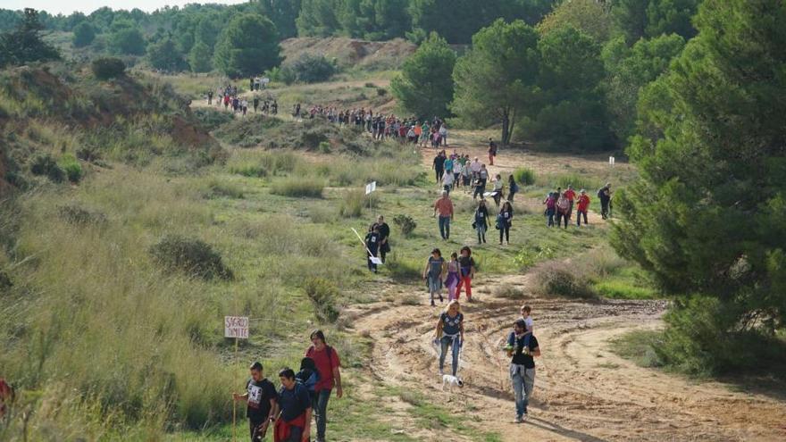 La coordinadora plantará 14.000 bellotas en les Moles tras la sentencia del TSJCV