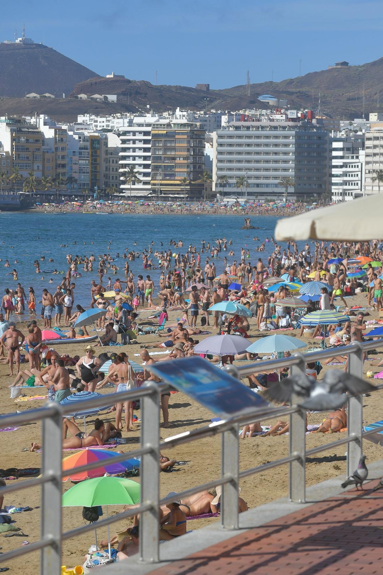 Tiempo en Las Palmas de Gran Canaria (30/04/23)