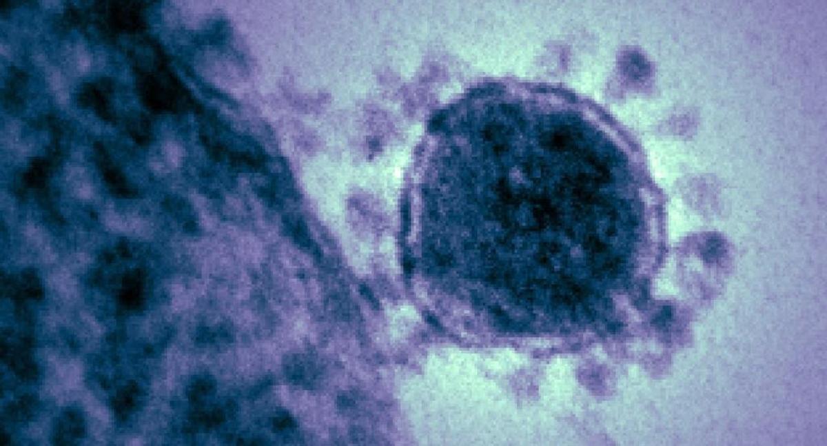 Sanidad confirma el segundo caso de coronavirus en la Comunidad Valenciana