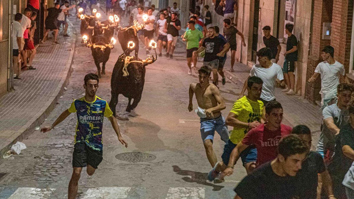 Instante del encierro de toros embolados que tuvo lugar anoche en Burriana, con reses de la ganadería La Espuela.