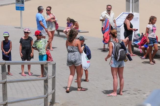 Reportaje excursiones con camellos en las Dunas ...