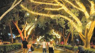 Santa Cruz iluminará por primera vez en Navidad 200 árboles de la Rambla