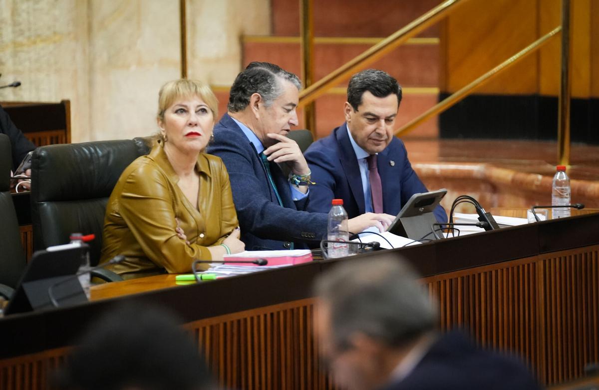 VÍDEO | El presidente Juanma Moreno, durante la sesión de control en el pleno del Parlamento andaluz.