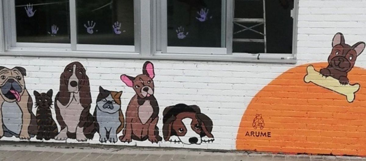Un mural dedicado a la protectora en el CEIP Virxe da Pena da Sela, que colabora con Arume. | // ARUME