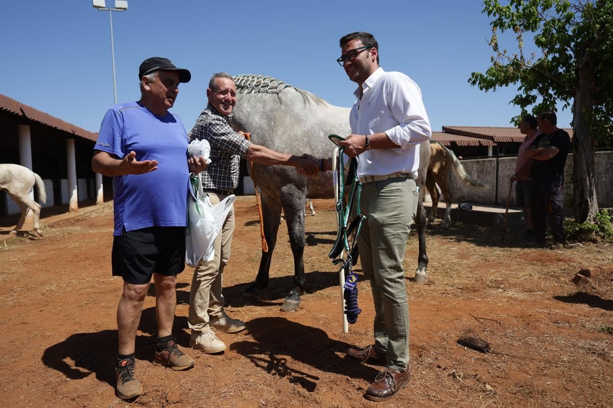 Fotogalería | Así se ha desarrollado la feria equina de Cáceres
