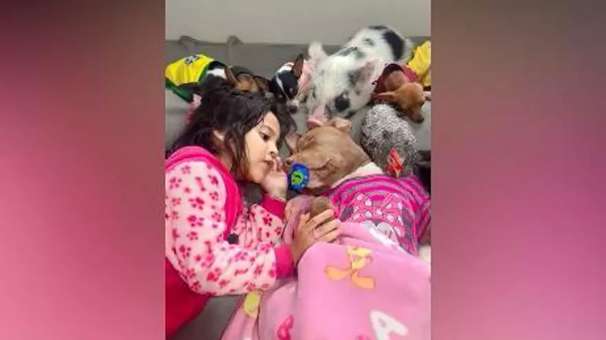 Así 'hipnotiza' una niña brasileña de cinco años a perros, gatos, gallinas, cerdos y pollos
