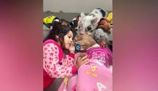 Sophia, la niña brasileña que hipnotiza y duerme a sus mascotas cantando