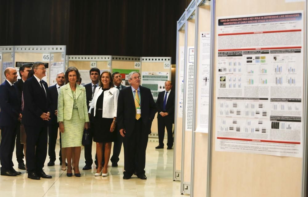 La reina Sofía preside el IV Congreso Internacional de Enfermedades Neurodegeneratiavas en Alicante