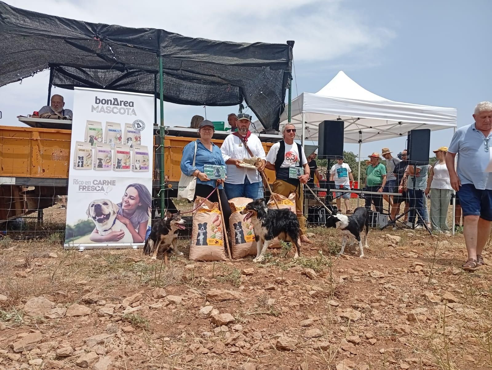 FOTOGALERÍA: Las imágenes del concurso de perros pastores de Ares del Maestrat