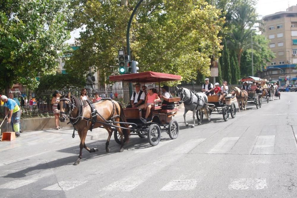 Día del caballo en la Feria de Murcia 2018