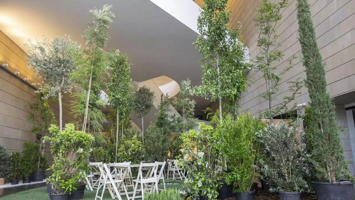 Imagen de la edición del año pasado