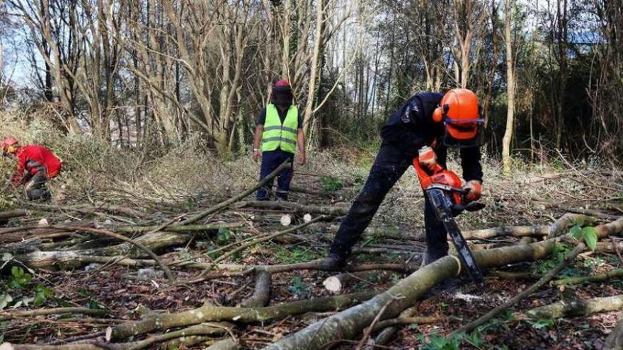 Operarios trabajando ayer en la parcela municipal para desbrozarla y preparar el terreno. // Ricardo Grobas