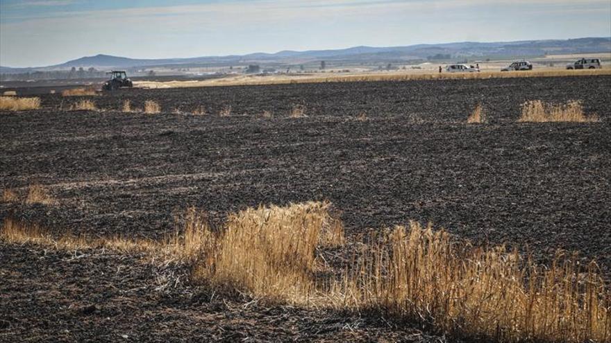 Un incendio quema 110 hectáreas en la carretera de Rincón de Caya