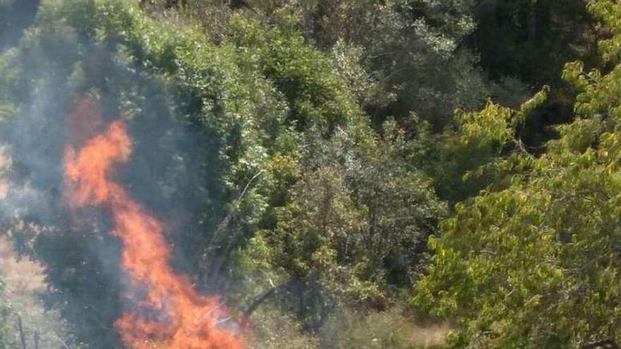 Los bomberos apagan un incendio en La Linde (Cangas del Narcea)