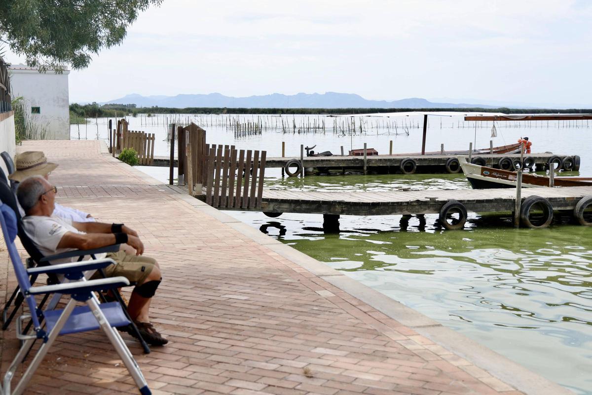 La salinización avanza en l'Albufera