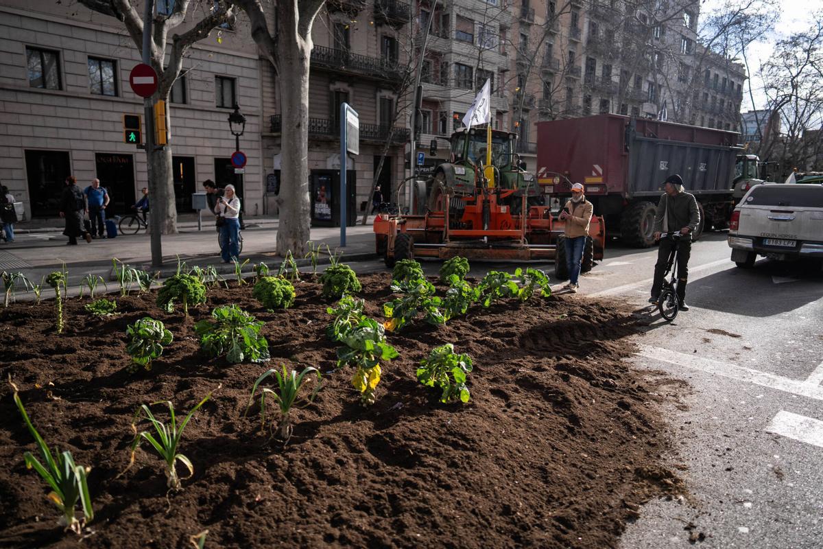 Tractorada en el centro de Barcelona, este viernes.
