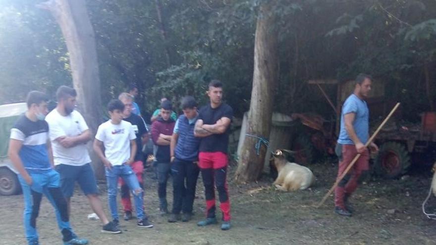 Ganaderos, ayer, durante la feria