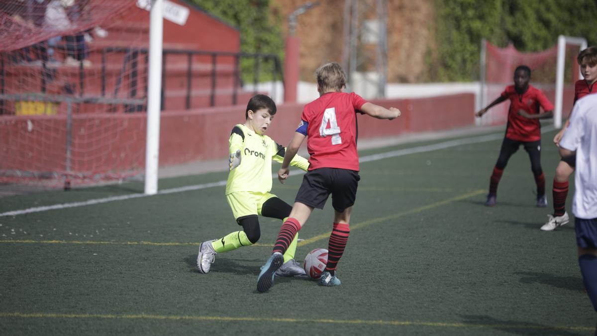 Penya Arrabal-Madre Alberta de benjamines