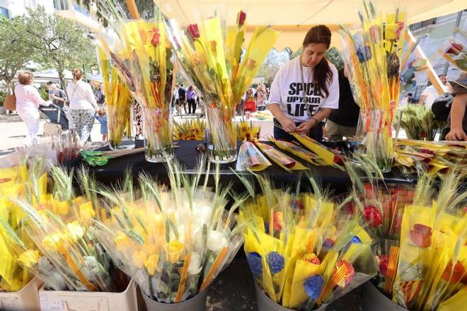 Mira aquí todas las fotos del día de Sant Jordi en Vara de Rey