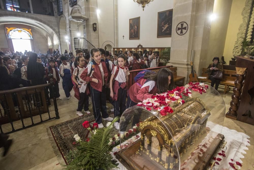 Las reliquias de Santa Teresa del Niño Jesús ya están en el monasterio de Santa Faz.