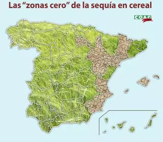 El cambio climático fulmina los cultivos secanos áridos de cereal de Murcia y el Levante