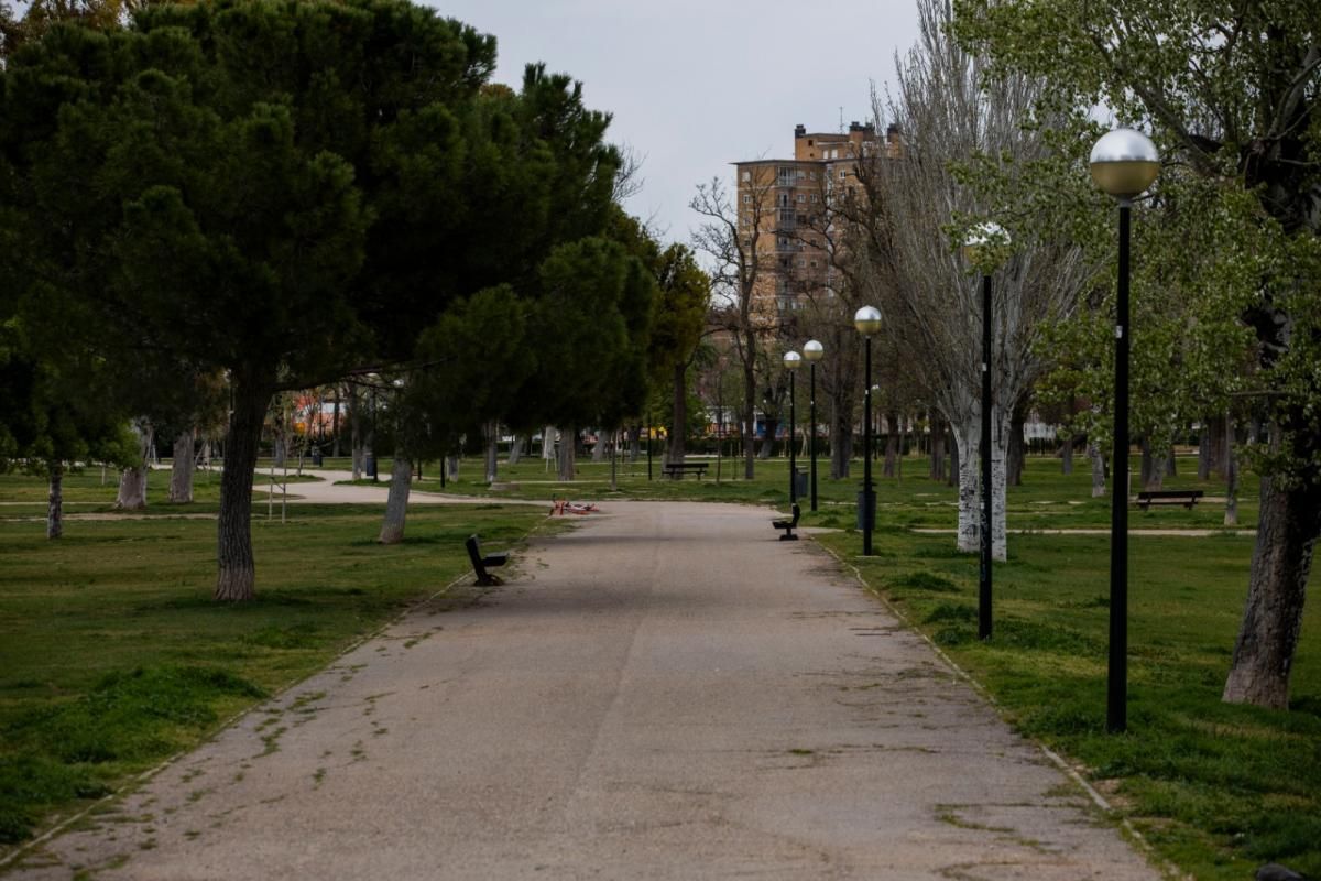 Zaragoza, en los huesos