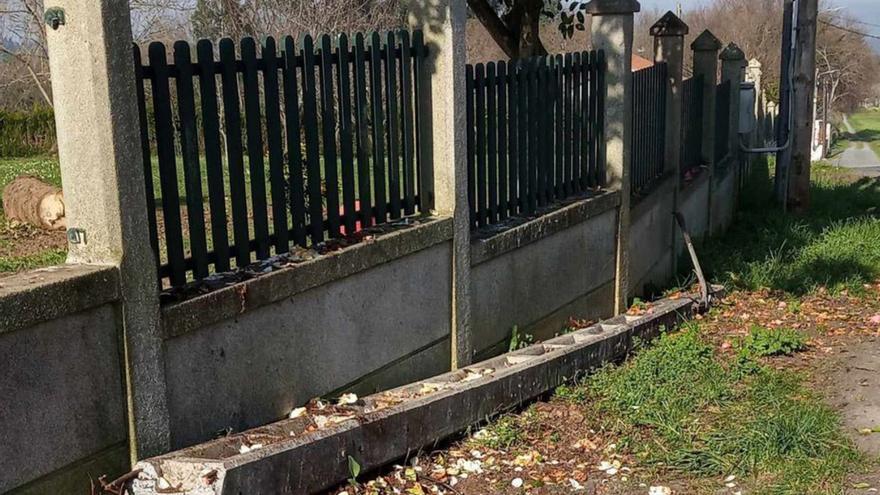 El poste de la farola rompió por la caída de una palmera.   | // CEDIDA