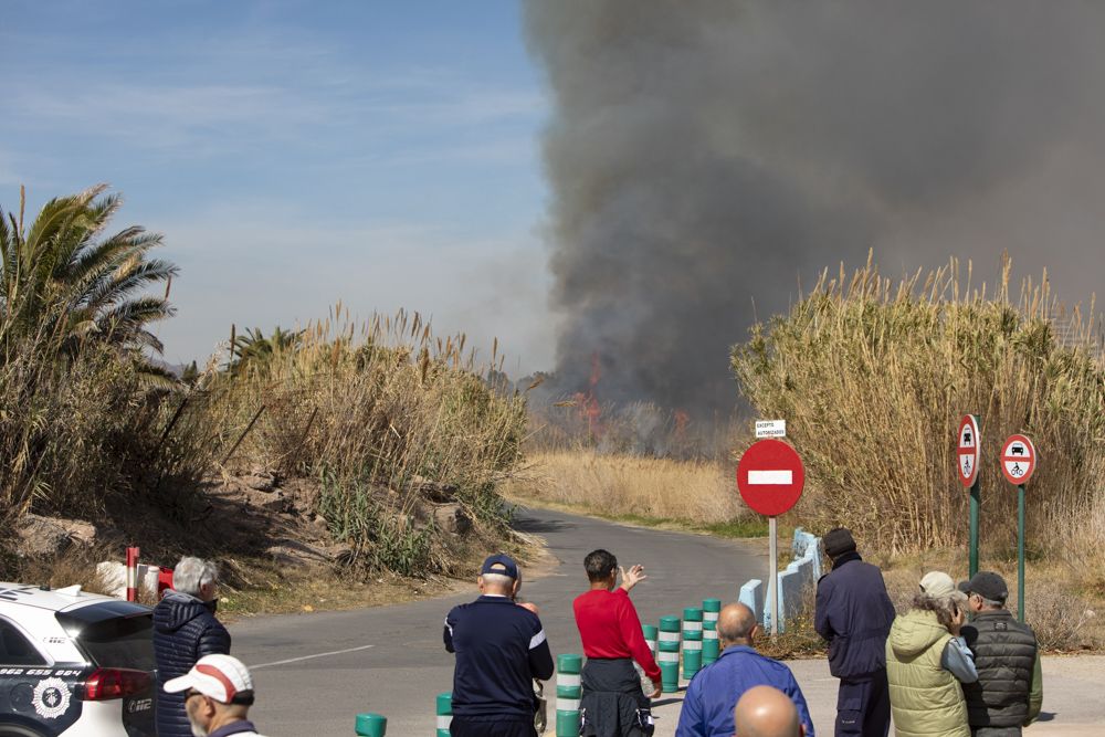 Aparatoso incendio en el delta del Palancia del Port de Sagunt.