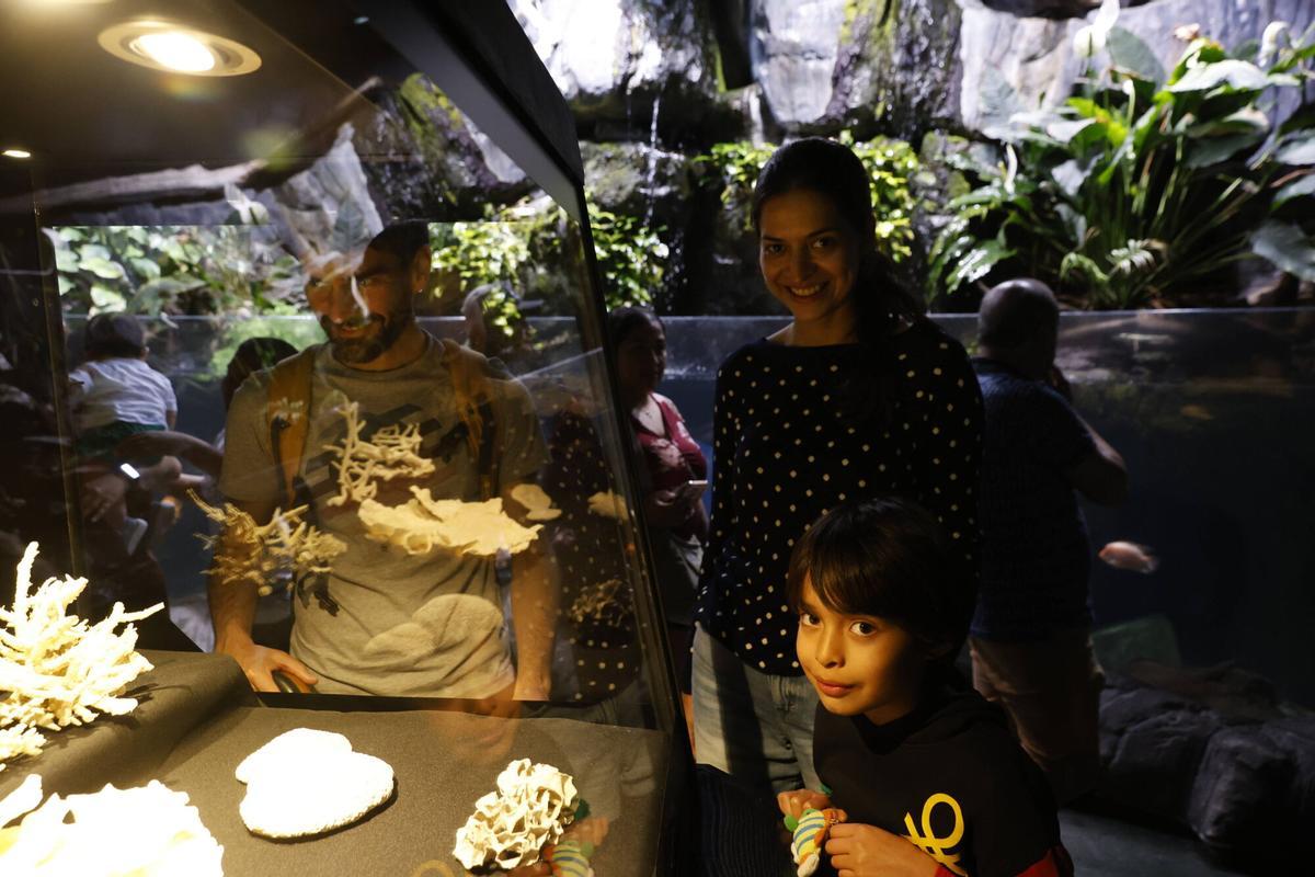 Así fue el recorrido de los visitantes por el equipamiento