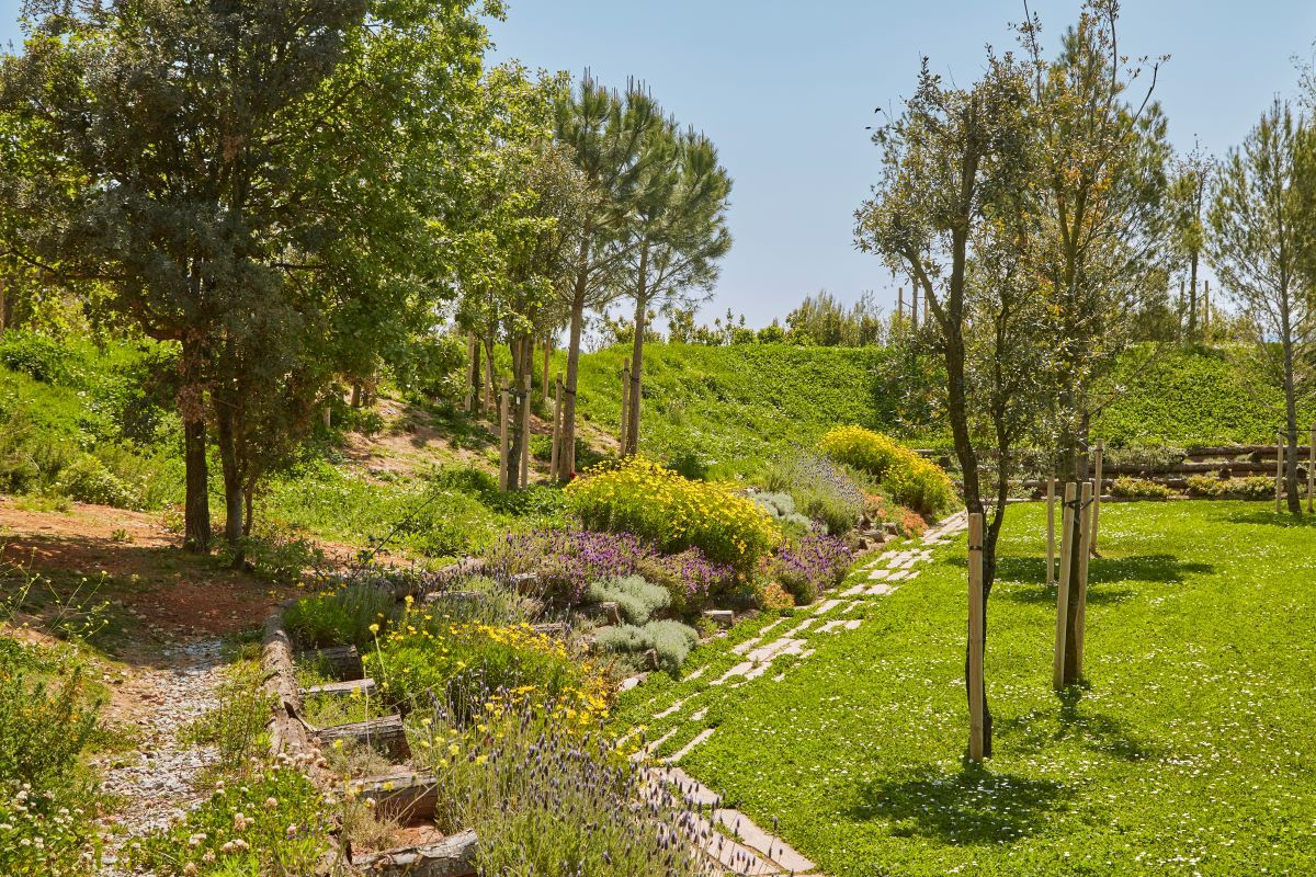 El Camí del Bosc del cementerio de les Roques Blanques en el Papiol