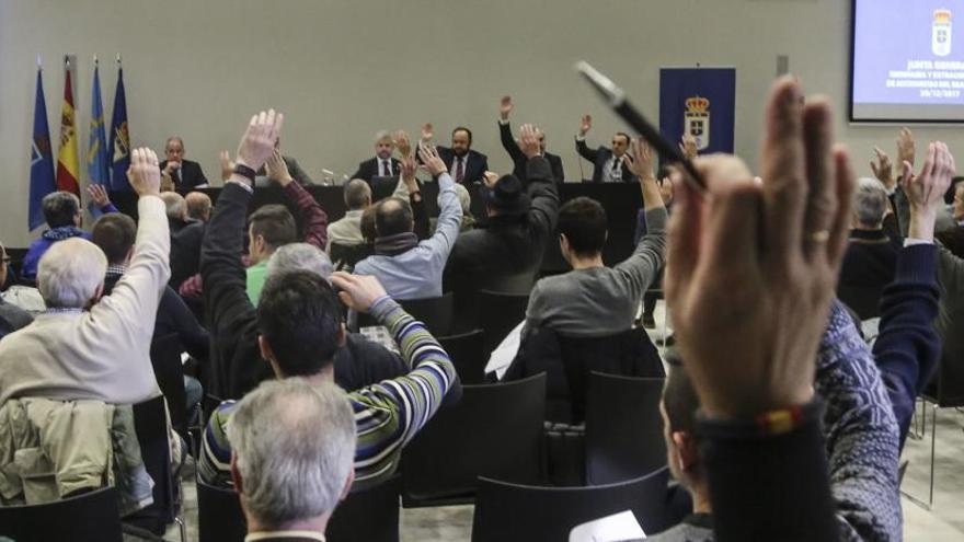 El Real Oviedo convoca junta extraordinaria para renovar su directiva y auditar cuentas