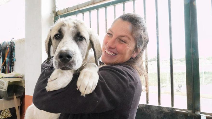 Rescatan a un perro abandonado dentro de un saco atado cerca de Valdefuentes