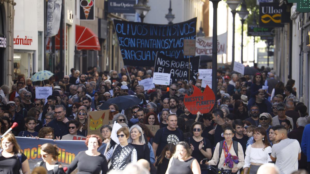 Miles de personas salen a la calle para clamar justicia climática en España