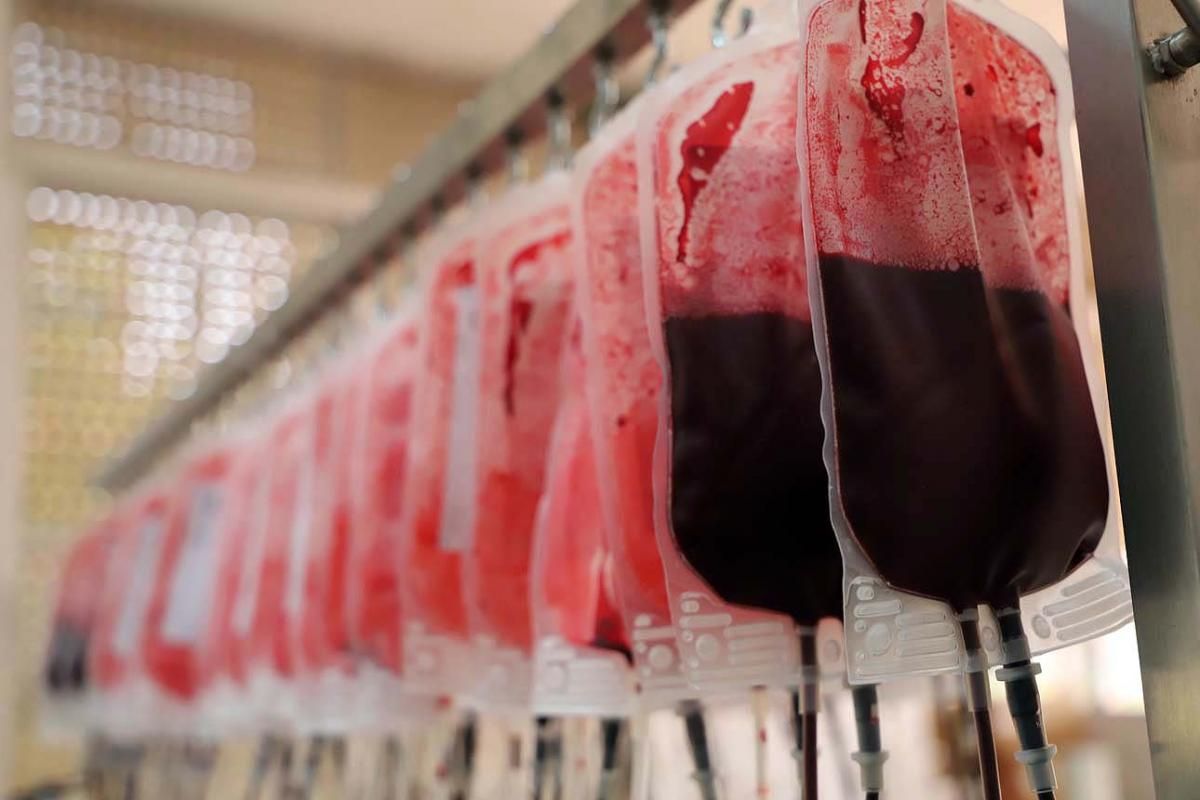 Semana del Donante: campaña especial de donación de sangre y de plasma