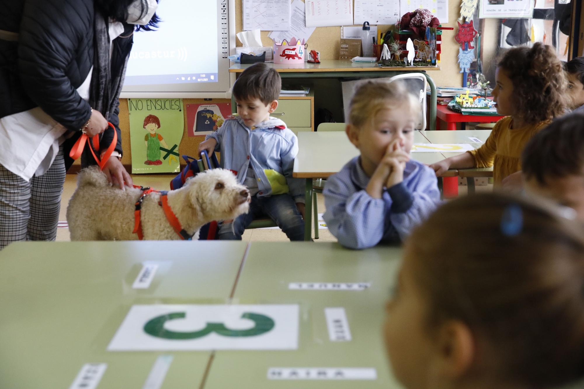 Los niños de Los Pericones aprenden en clase a lavarse los dientes con perros