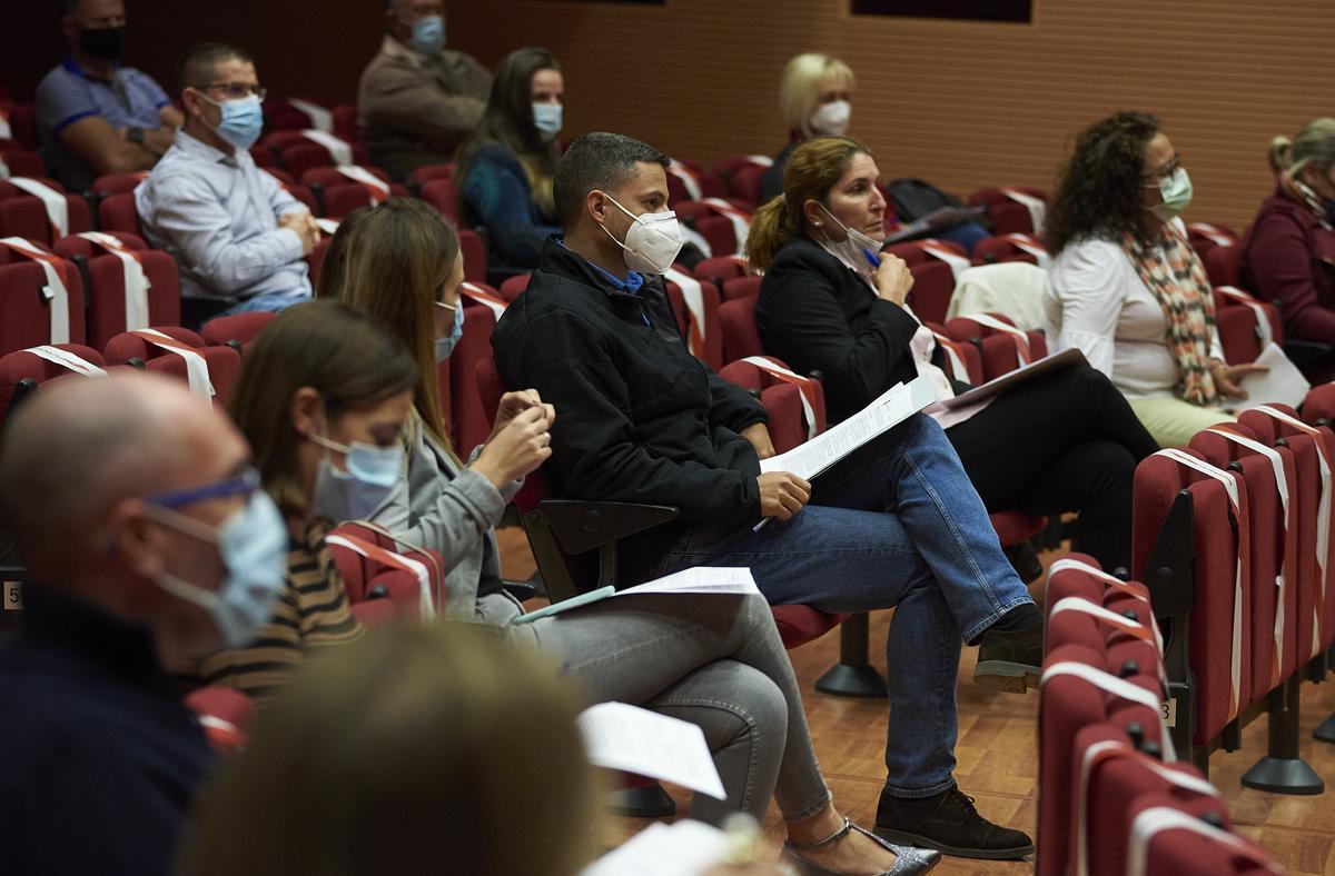 Pleno del Ayuntamiento de Arona, 26 de noviembre de 2020