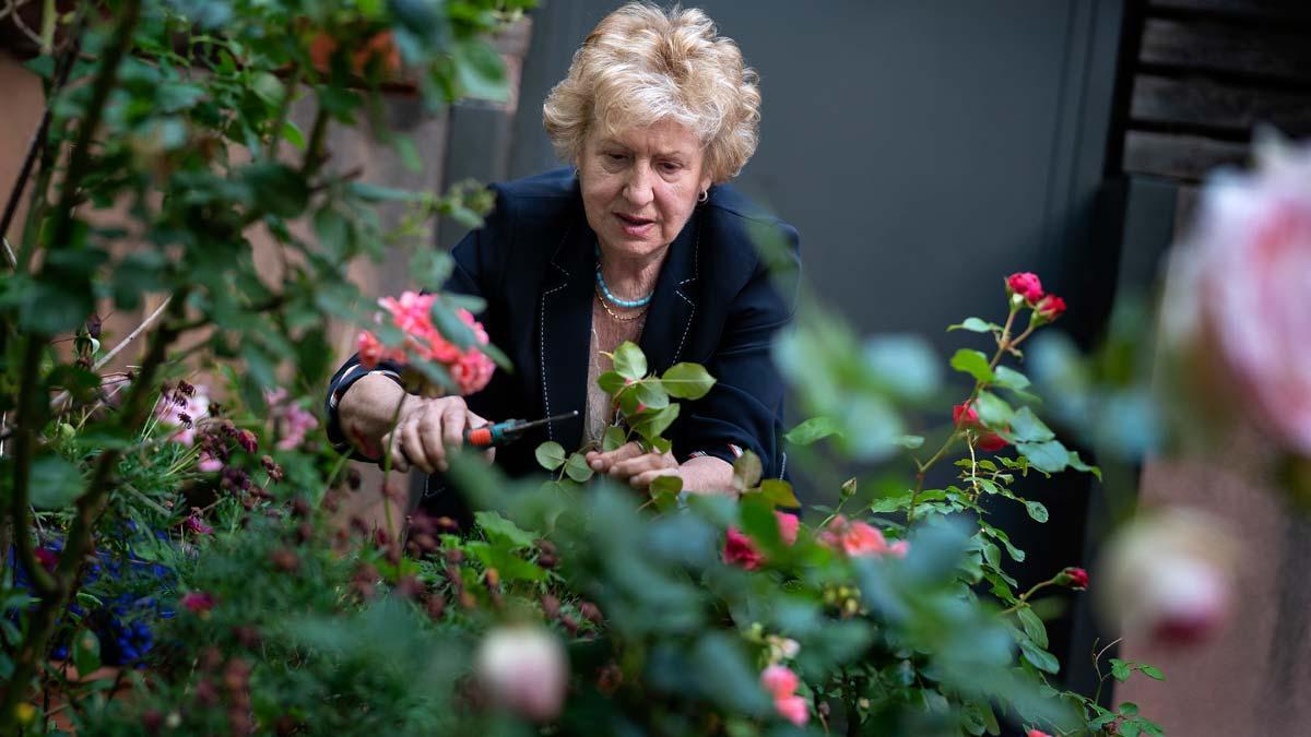 Maruja busca una flor que cortar para regalar a los curiosos.