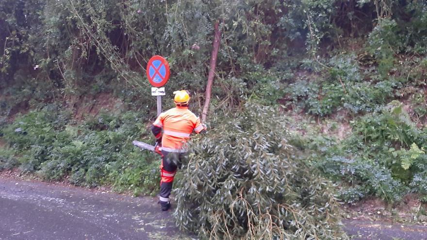 La caída de un árbol obliga a cortar el acceso al centro de salud de Cangas