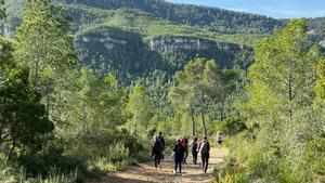 Excursión guiada por el Sherpa de Collserola.