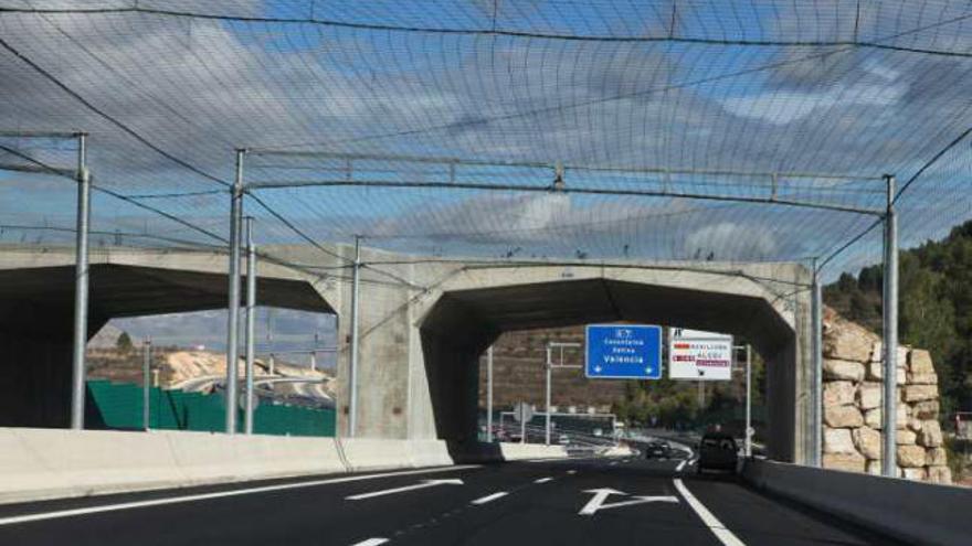 Una malla de poliamida impide el atropello de murciélagos en la autovía.