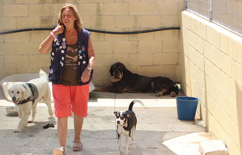 Visita a la Protectora de Animales y Plantas de Málaga